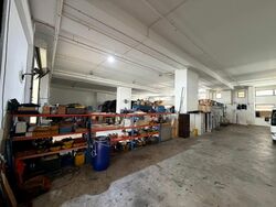 West Star (D22), Factory #559885741